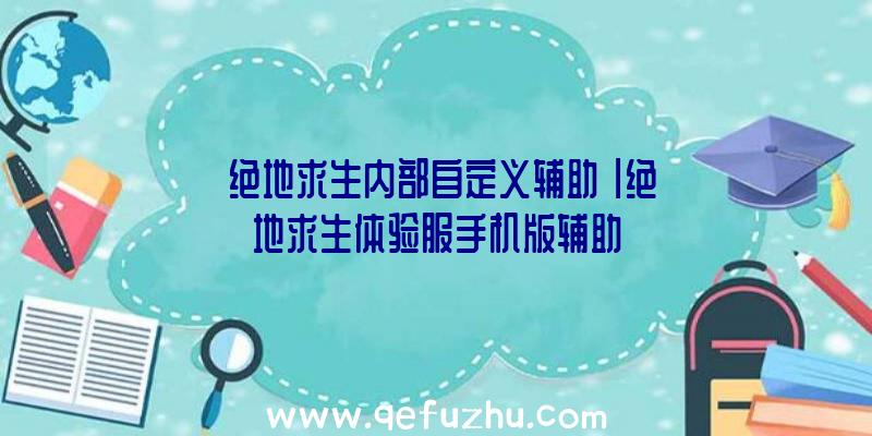 「绝地求生内部自定义辅助」|绝地求生体验服手机版辅助